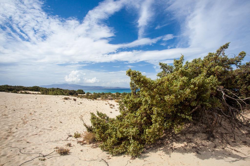 Villa Alyko Aliko Beach Exteriér fotografie
