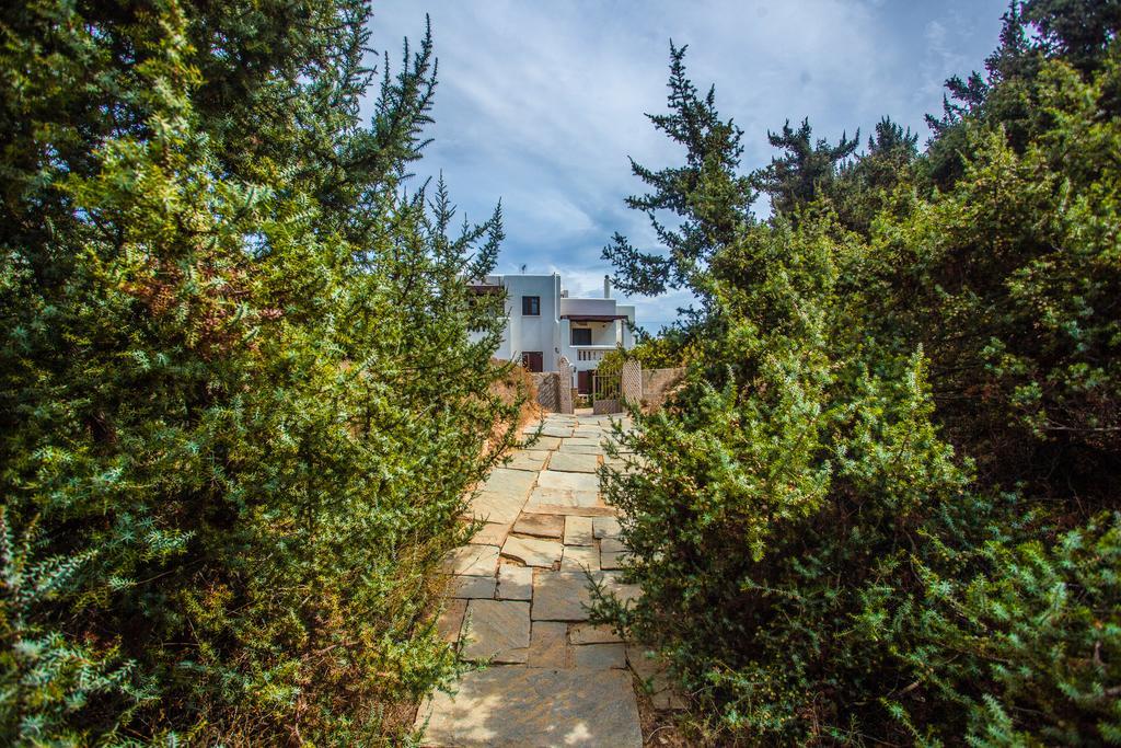 Villa Alyko Aliko Beach Exteriér fotografie