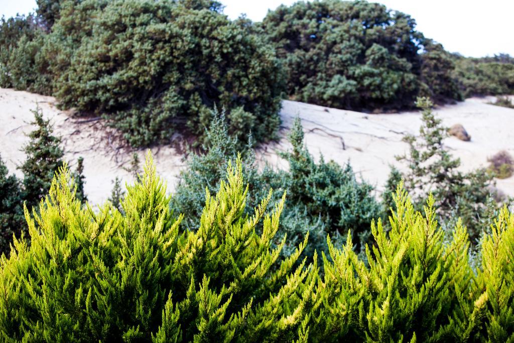 Villa Alyko Aliko Beach Exteriér fotografie